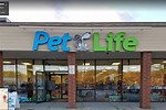 Puppy Stores Near Me