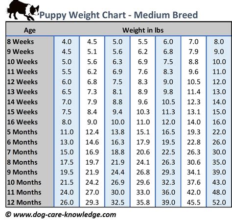 Puppy Weight Chart By Breed