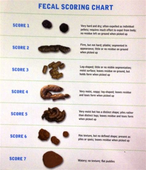Purina Fecal Score Chart