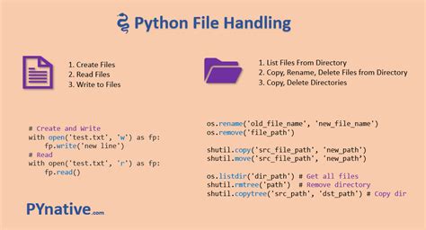 Python File Input