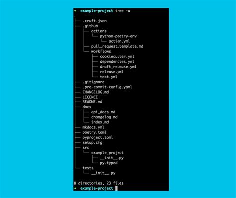Python Project Template