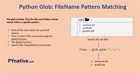 Python glob multiple filetypes