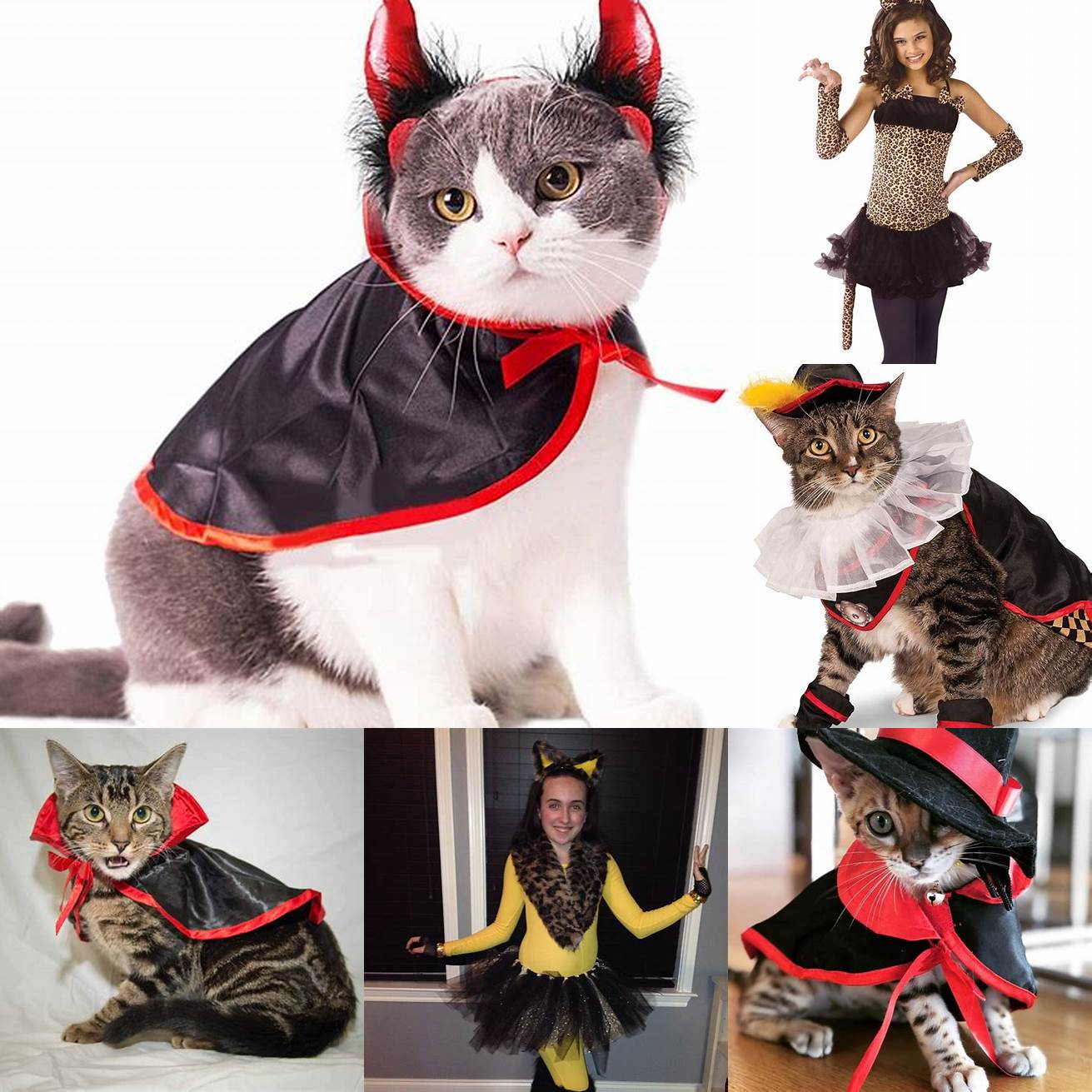 Q Can I add other accessories to the cat costume