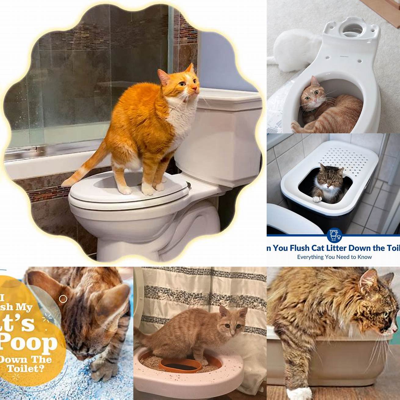 Q Can I flush cat litter down the toilet