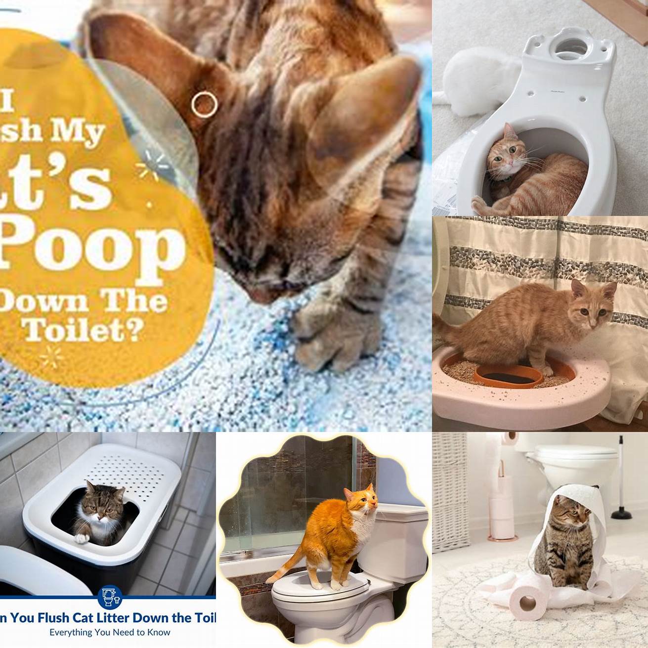 Q Can I flush cat poop down the toilet