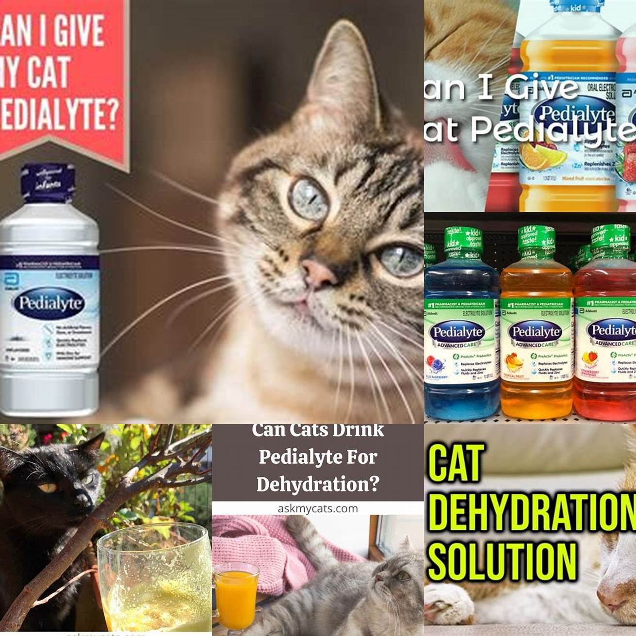 Q Can I give my cat Pedialyte for dehydration
