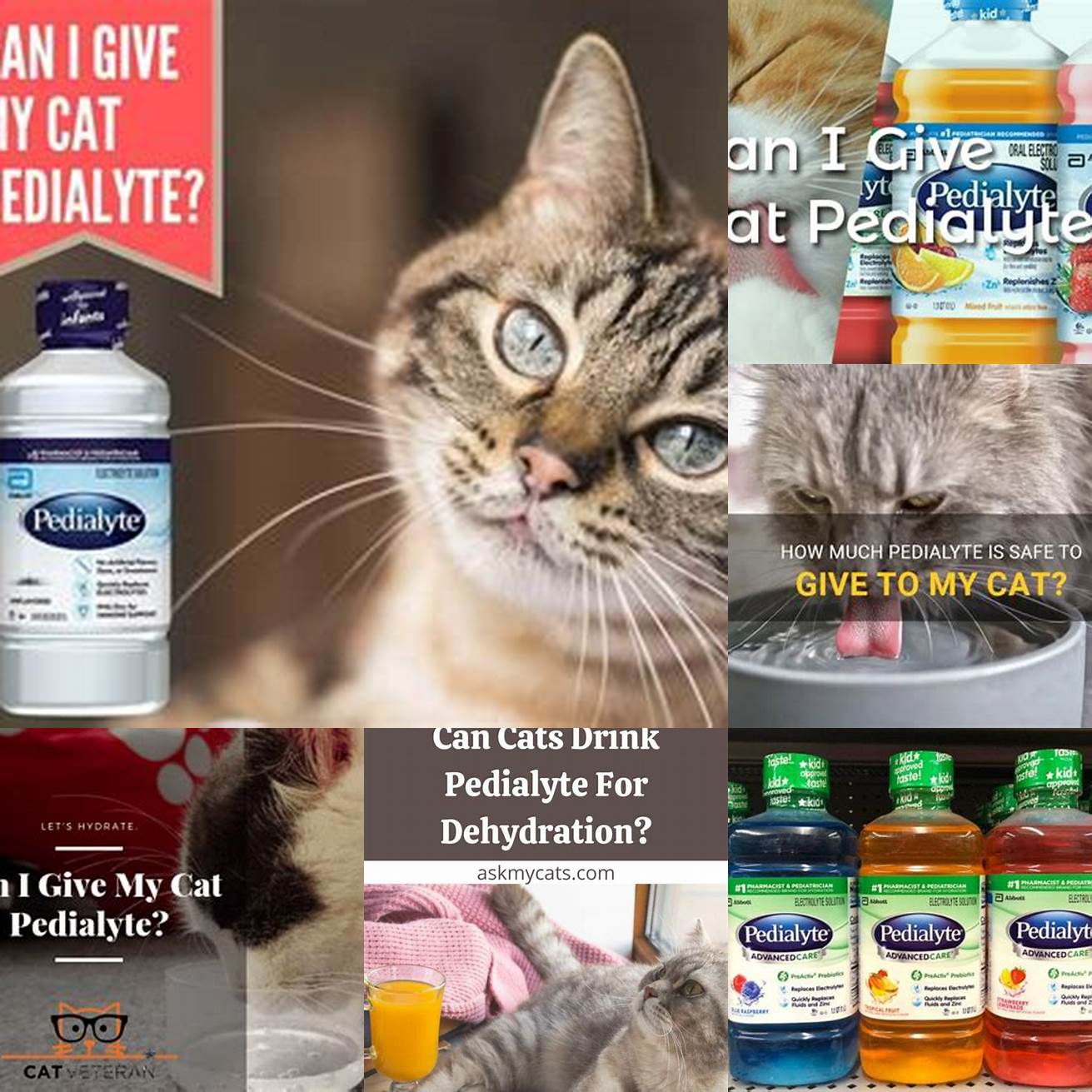 Q Can I give my cat Pedialyte without consulting a vet