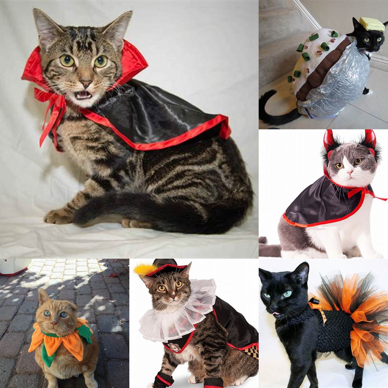 Q Can I make a cat costume for my pet