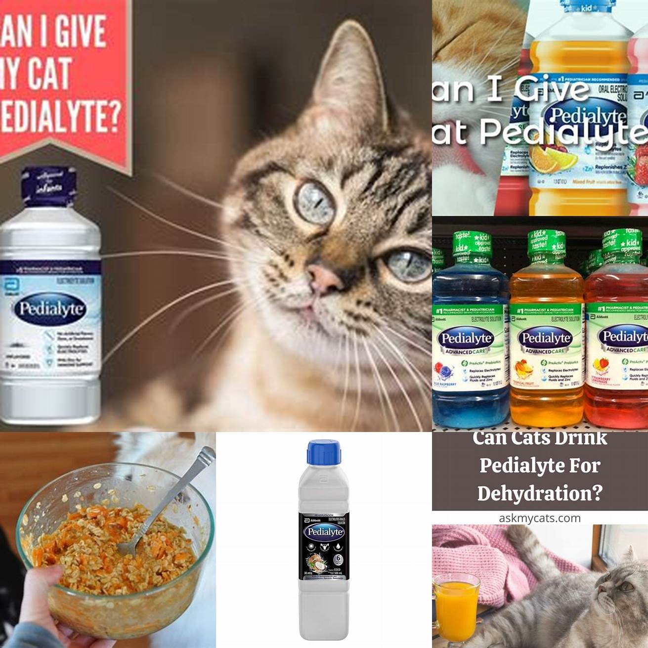 Q Can I mix Pedialyte with my cats food