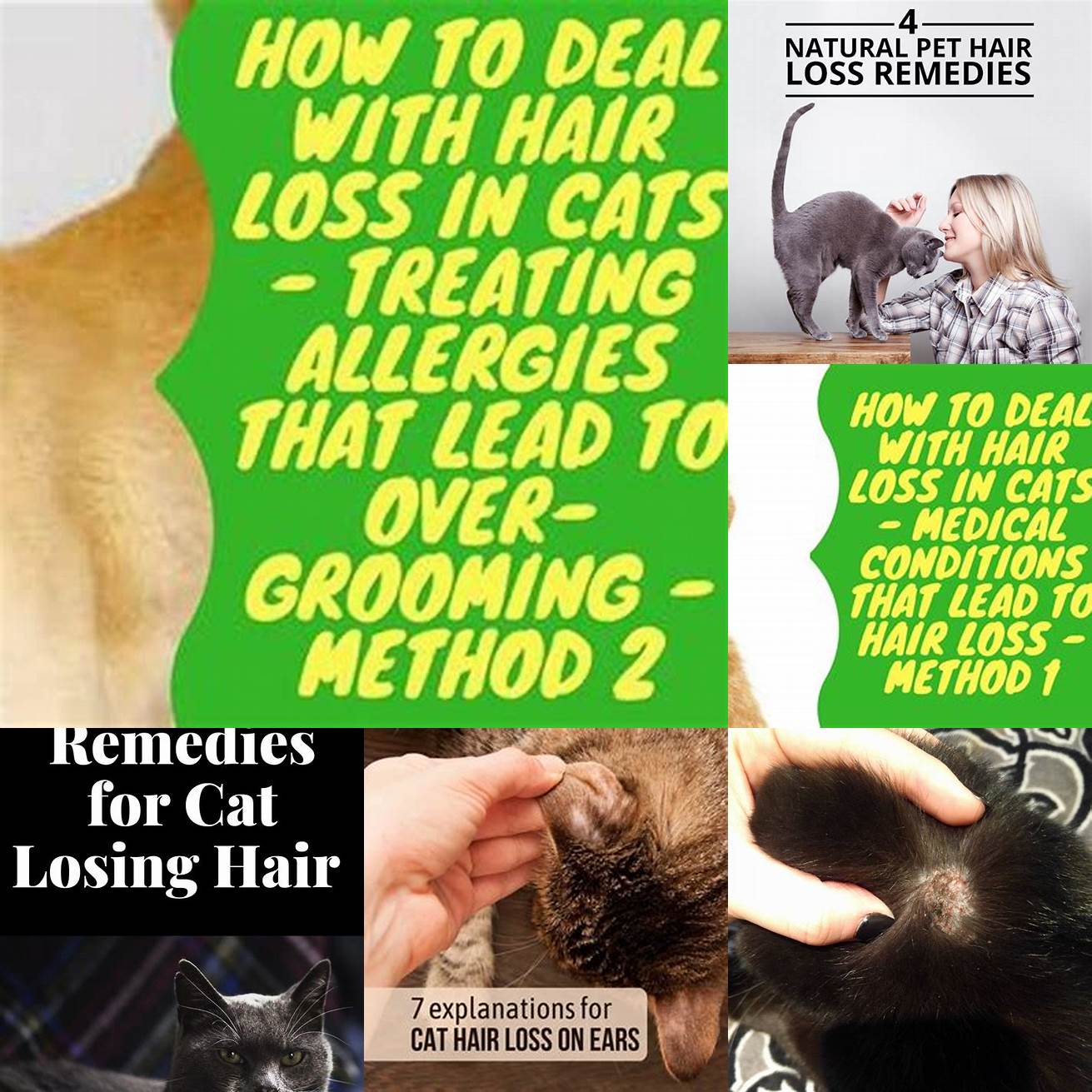 Q Can I treat my cats hair loss at home