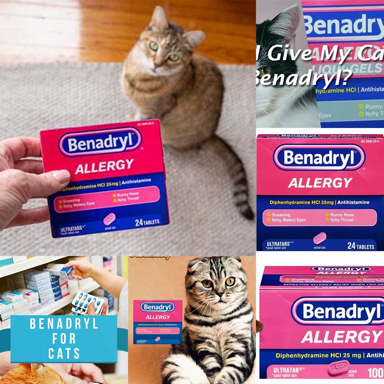 Q Can I use over-the-counter Benadryl for my cat