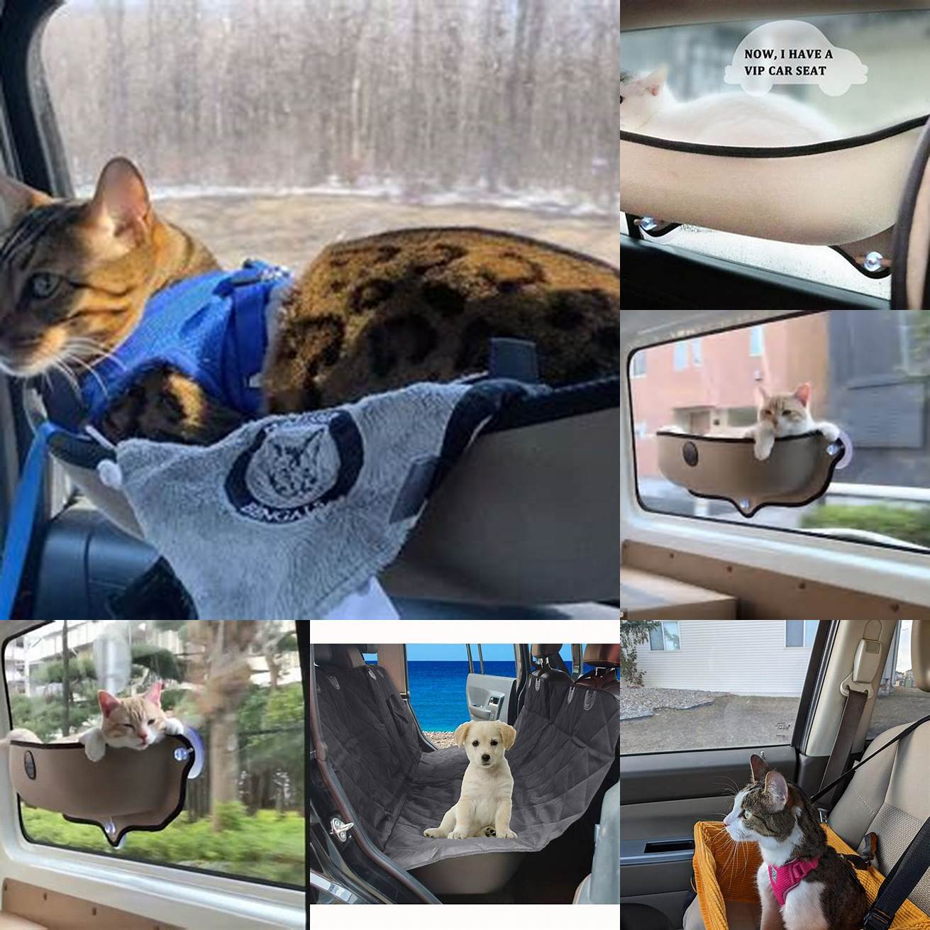 Q Can I use the car hammock for cats for long car rides
