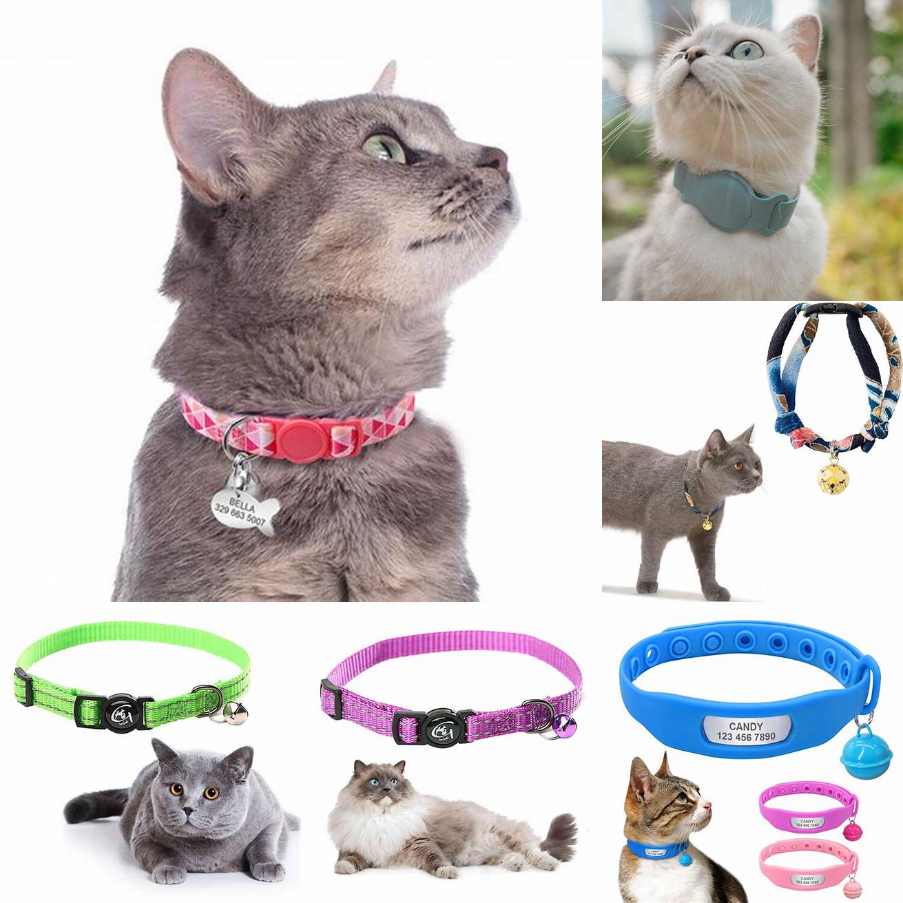 Q Can I use the collar for multiple cats