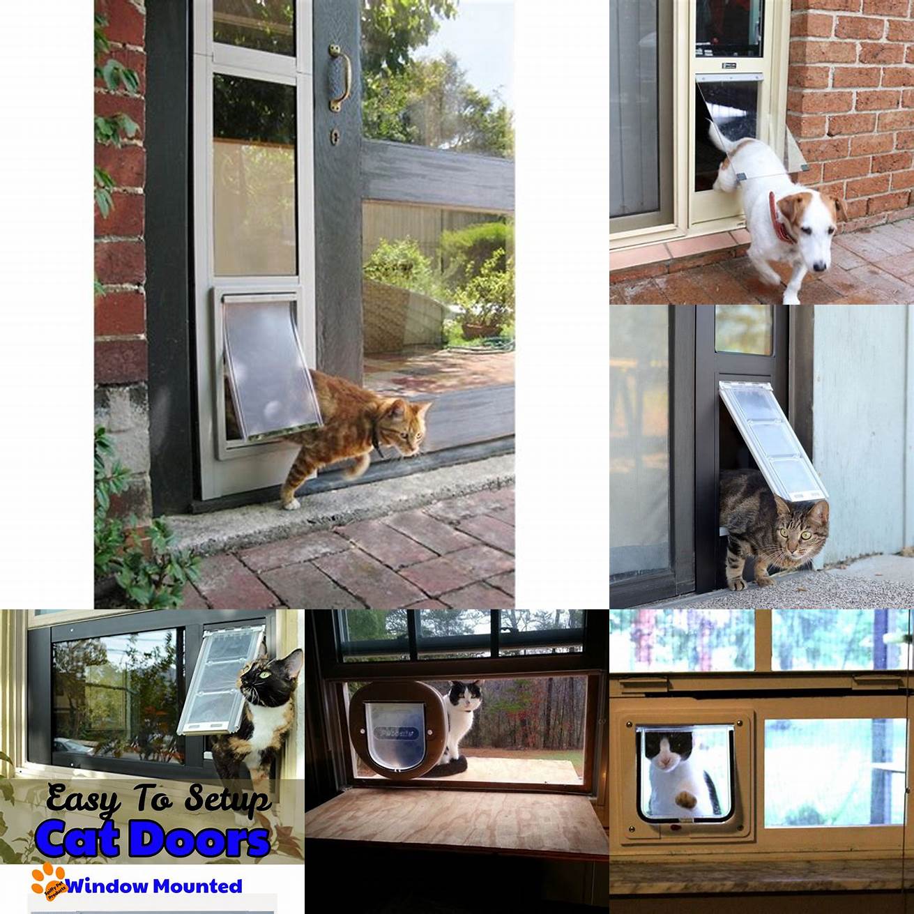Q Can a cat door for sliding window be locked