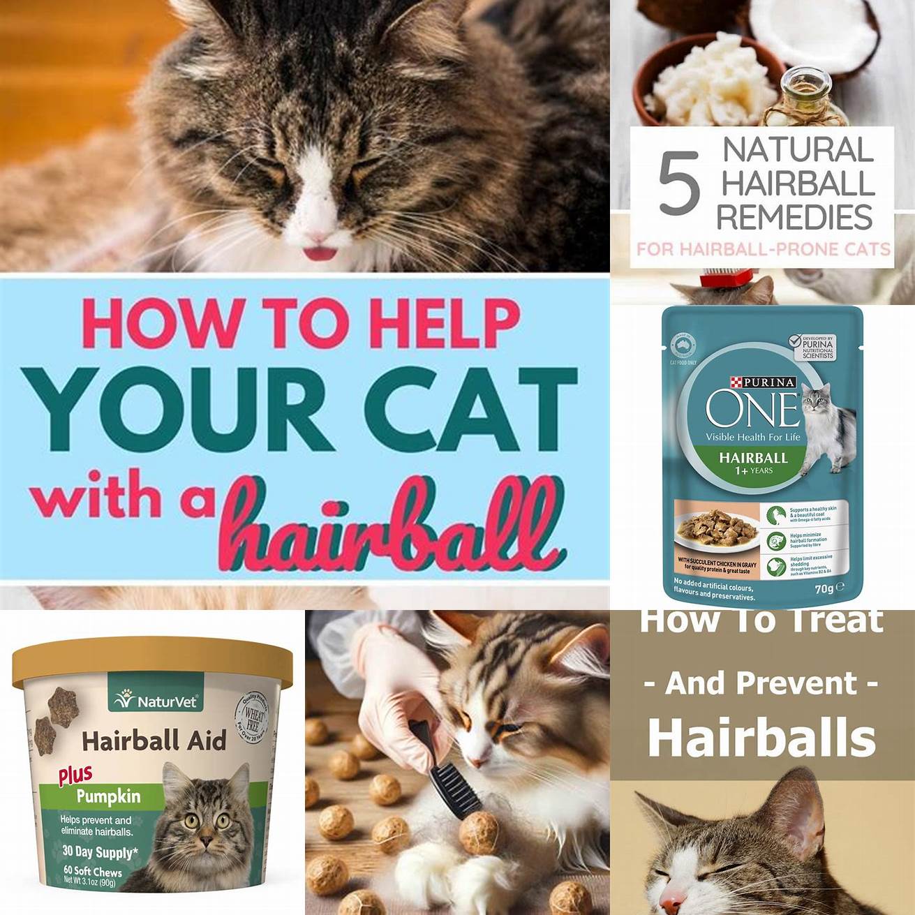 Q Can cabbage be used to treat hairballs in cats A While cabbage may help prevent hairballs in cats there is no scientific evidence to support this claim Its best to speak with your veterinarian about safe and effective ways to manage hairballs in cats