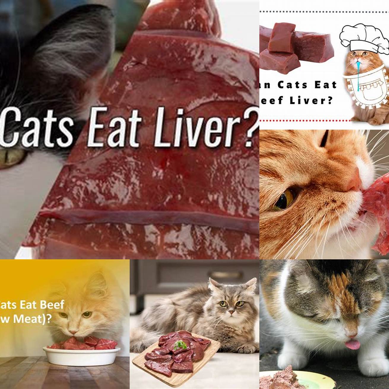 Q Can cats eat beef liver
