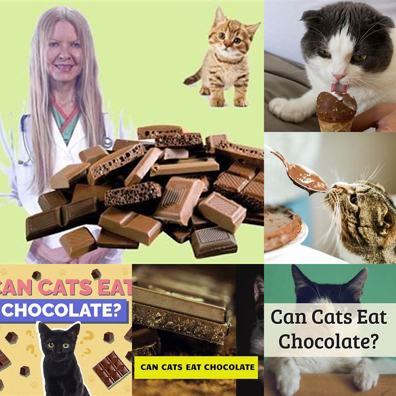 Q Can cats eat chocolate