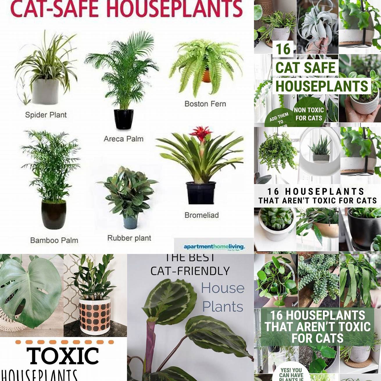 Q How can you keep your cat safe from toxic plants A You can keep your cat safe from toxic plants by doing research before bringing any new plants into your home and keeping toxic plants out of reach