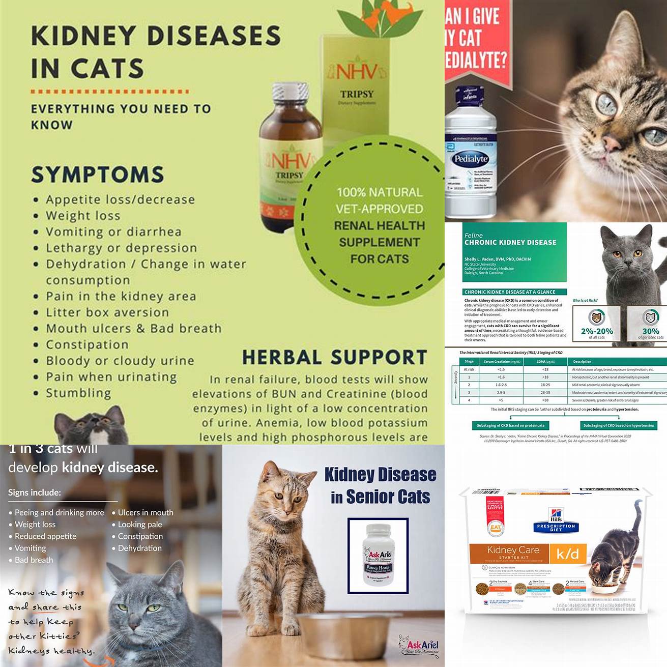 Q Is Pedialyte safe for cats with kidney disease