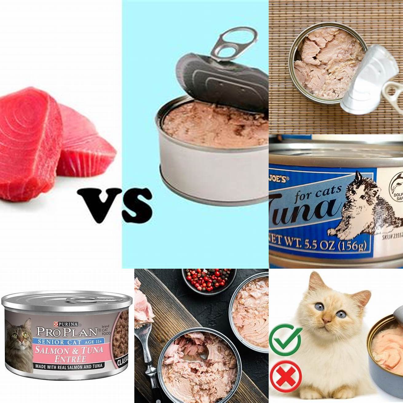 Q Is canned tuna better than fresh tuna for cats