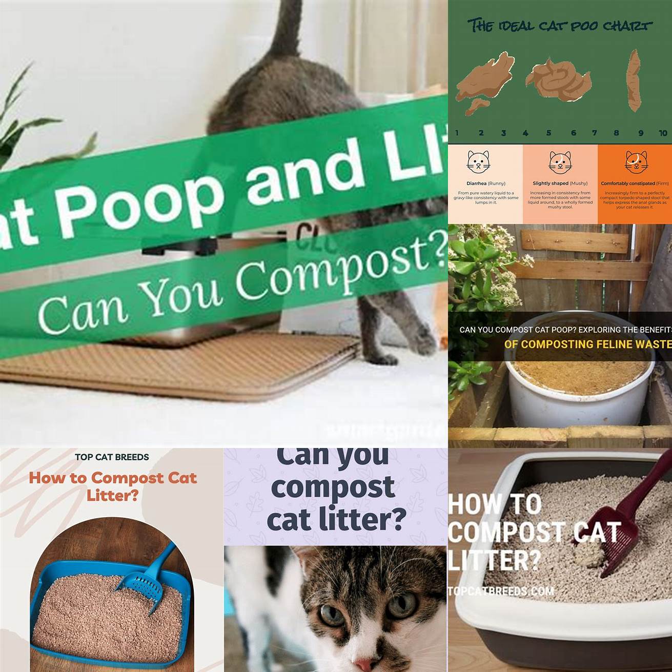 Q Is it safe to compost cat poop
