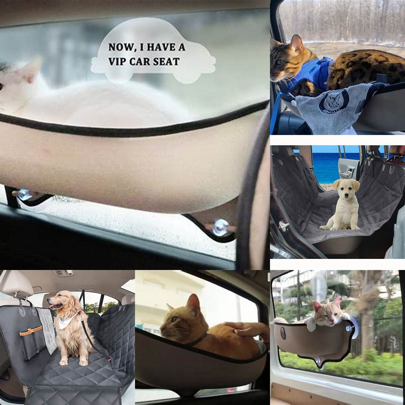 Q Is the car hammock for cats safe