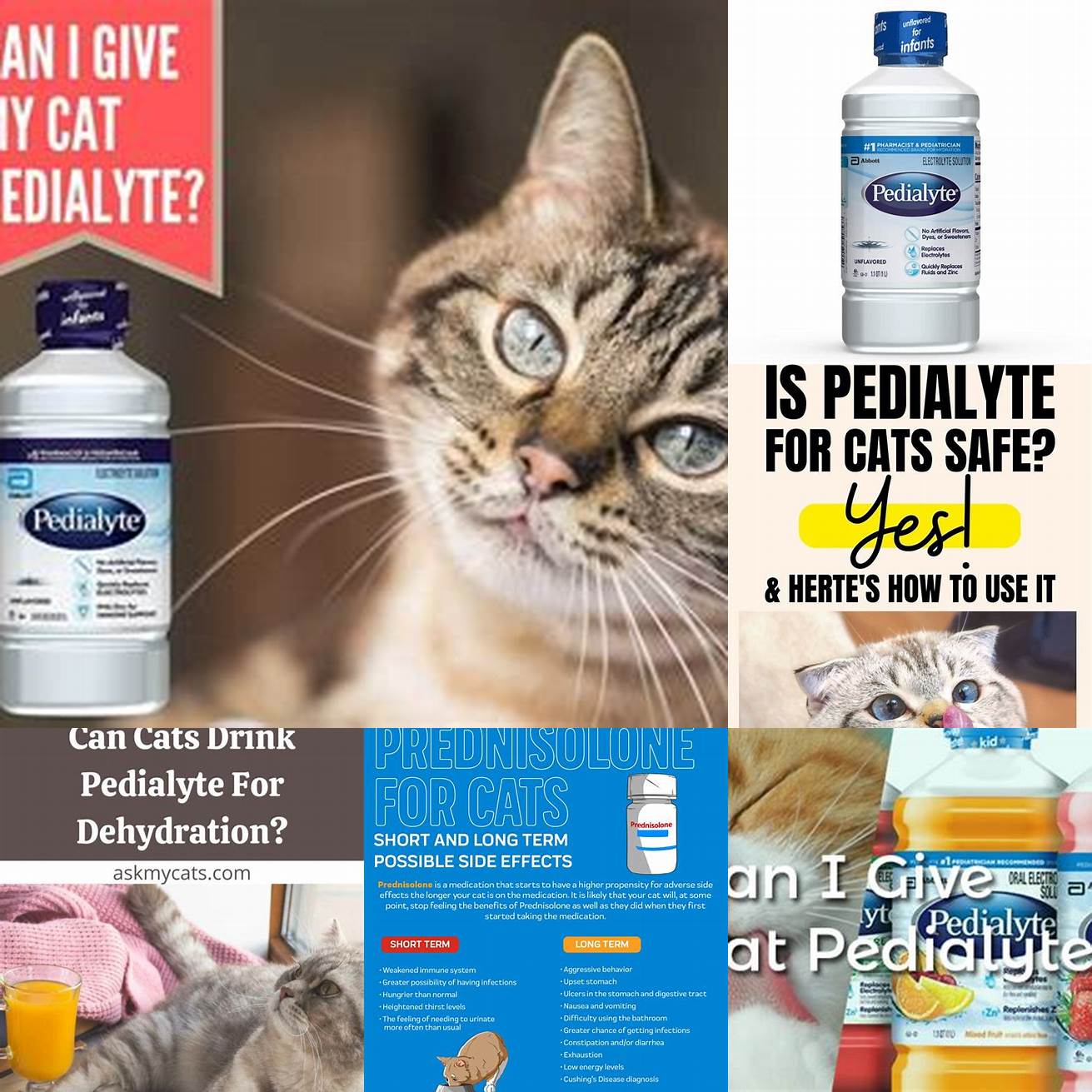 Q What are the side effects of Pedialyte in cats