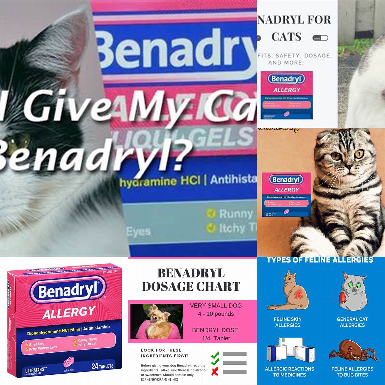 Q What should I do if my cat has an adverse reaction to Benadryl