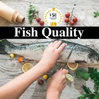 Quality of Fish and Supplies