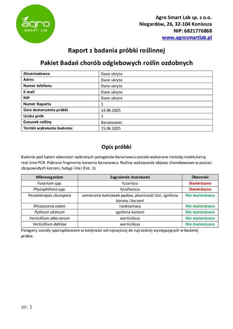 Raport