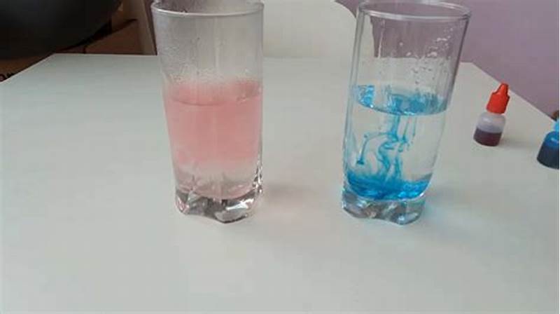Rate Of Diffusion Experiment Using Food Coloring Presentation