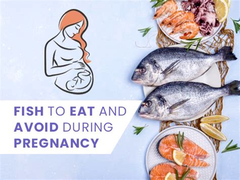 Raw fish during pregnancy