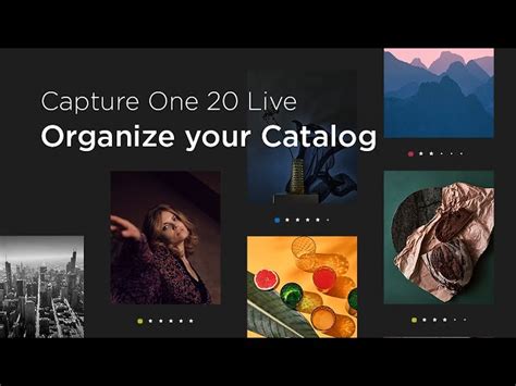 Re Oving A Catalog In Capture One