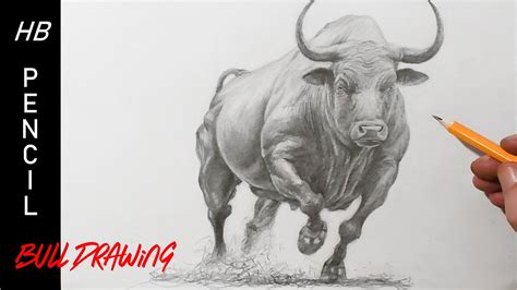 Realistic Bull Drawing