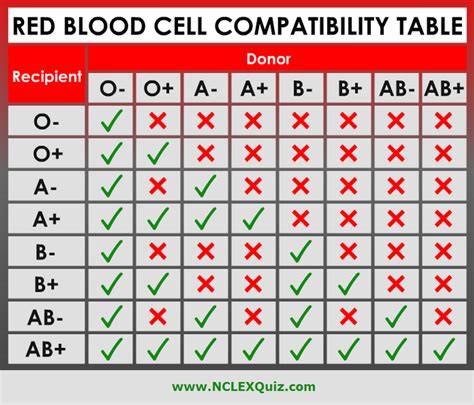 Red Blood Cell Compatibility Chart