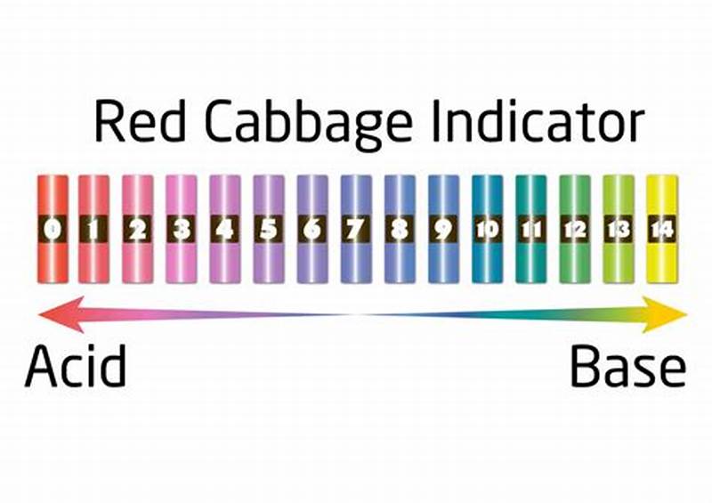 Red Cabbage Indicator Color Chart