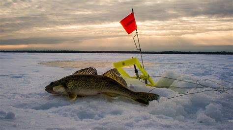 Red Lake Fishing Minnesota