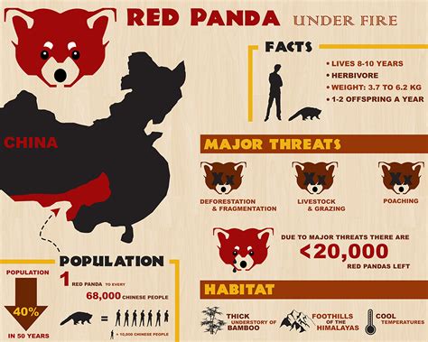 Red Panda Endangered Chart