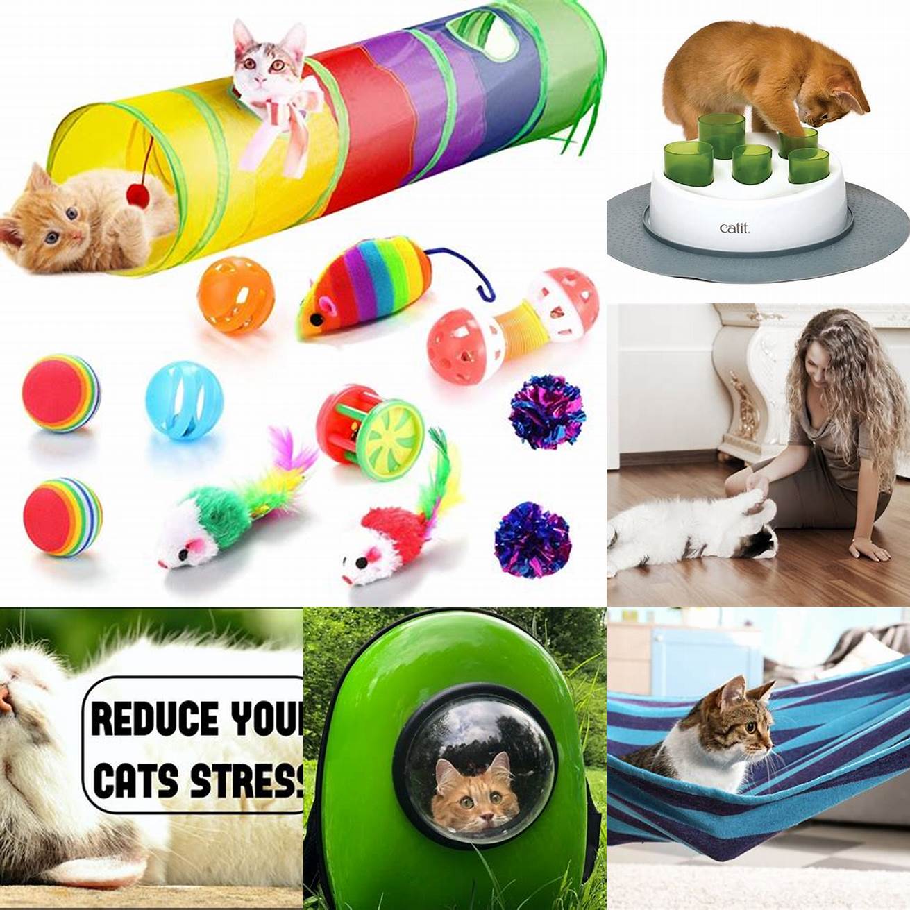 Reduce stress Ensure your cat is in a calm and consistent environment and provide interactive toys and playtime to reduce stress and anxiety