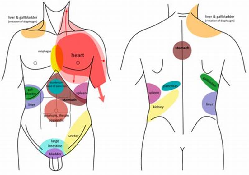 Referral Pattern For Gallbladder
