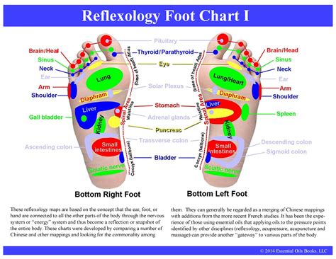Reflex Chart Foot