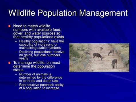 Regulating Wildlife Populations