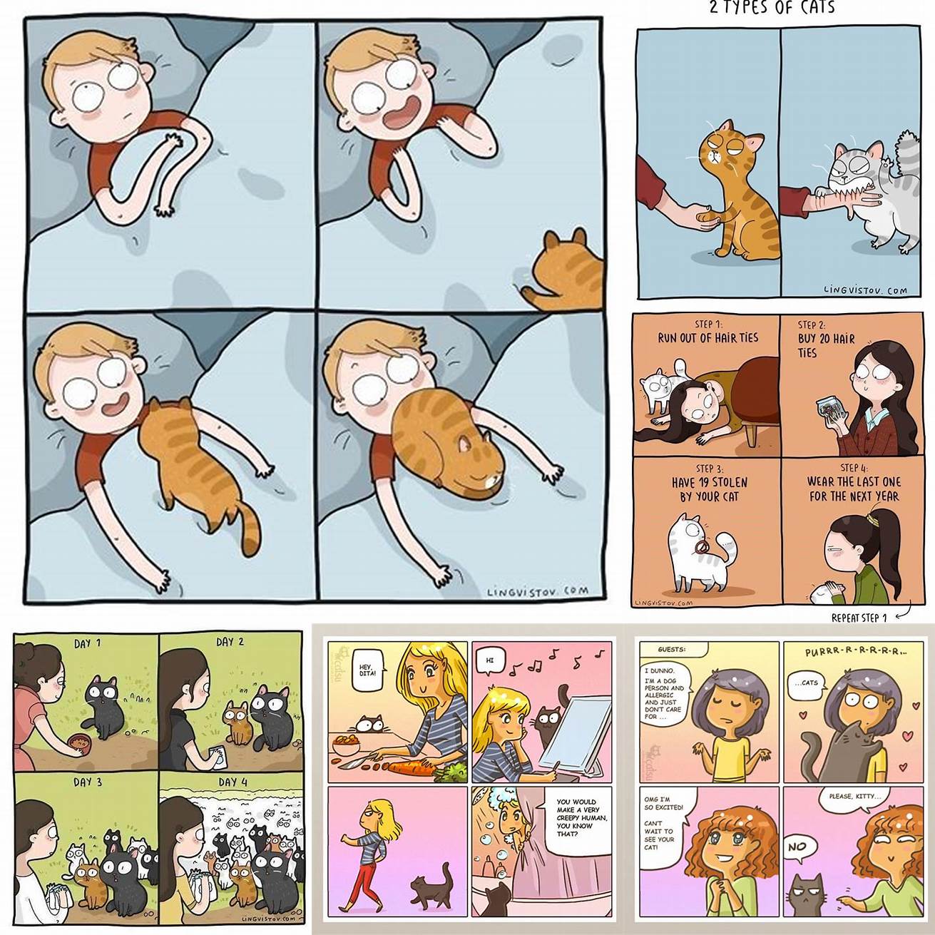 Relatable Cat Cartoons