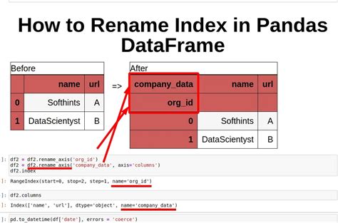 Rename Index Data Frame Pandas