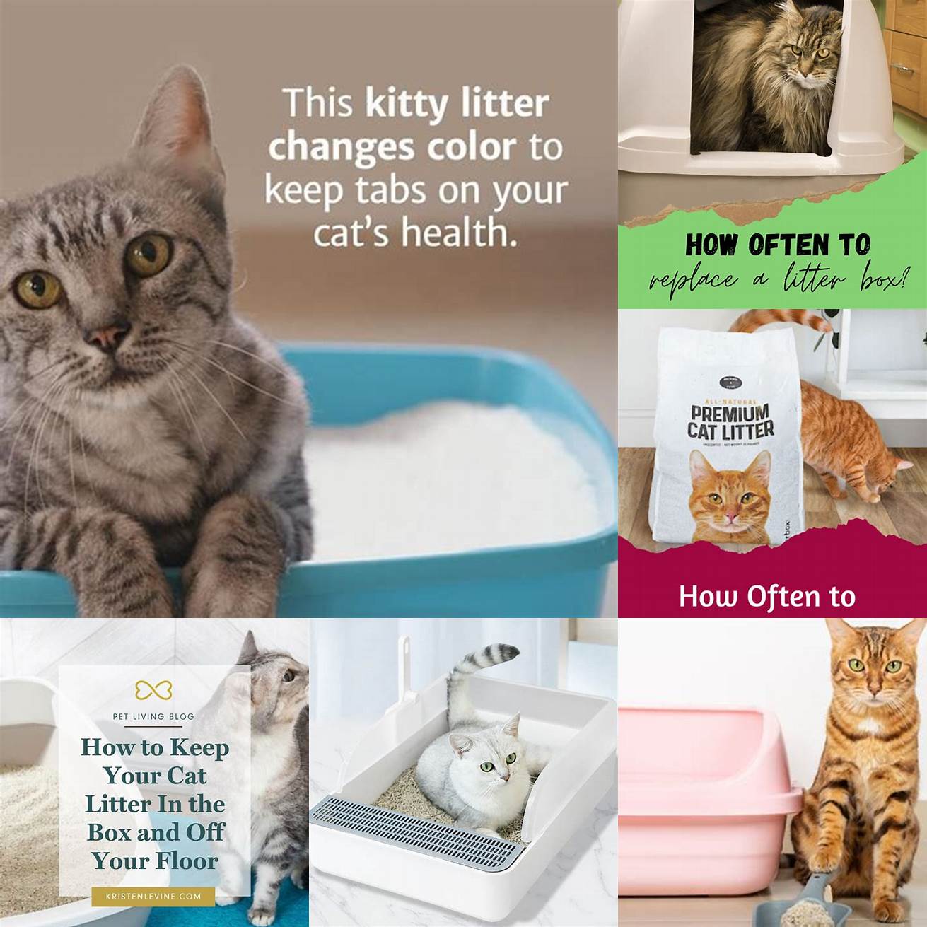 Replace the litter regularly