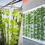 Replacing water in a vertical hydroponic garden