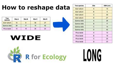 Reshaping dataframe from wide to long format