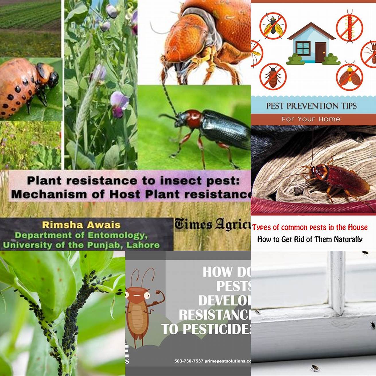 Resistant to moisture and pests