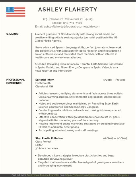 Resume In The Federal Resume Template Format