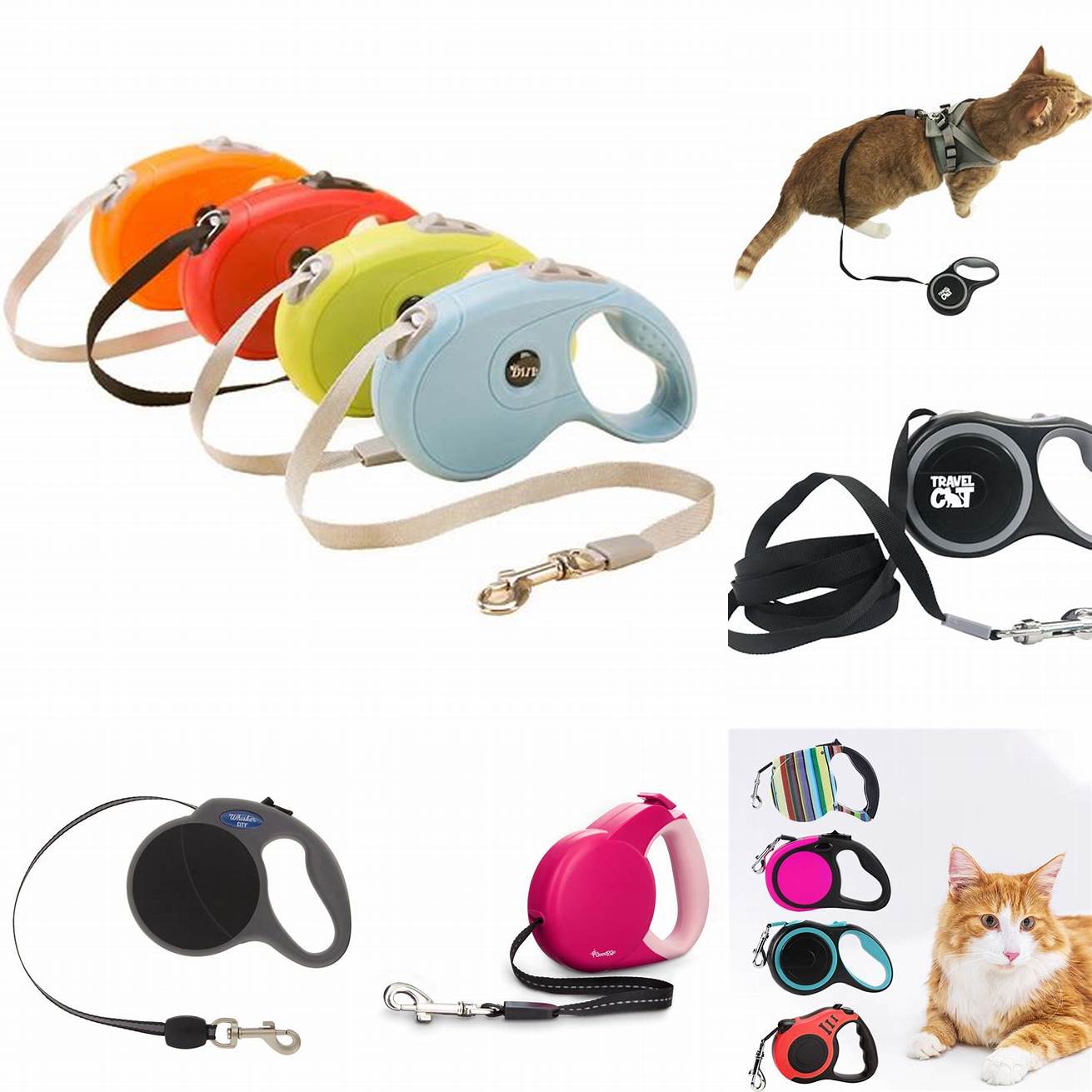 Retractable Leashes